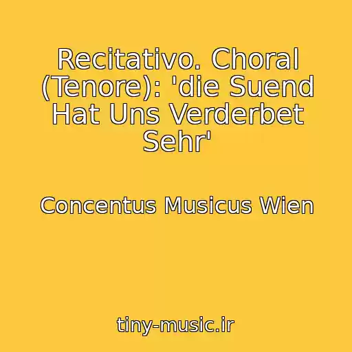 کاور آهنگ Recitativo. Choral (Tenore): 'die Suend Hat Uns Verderbet Sehr' از Concentus Musicus Wien