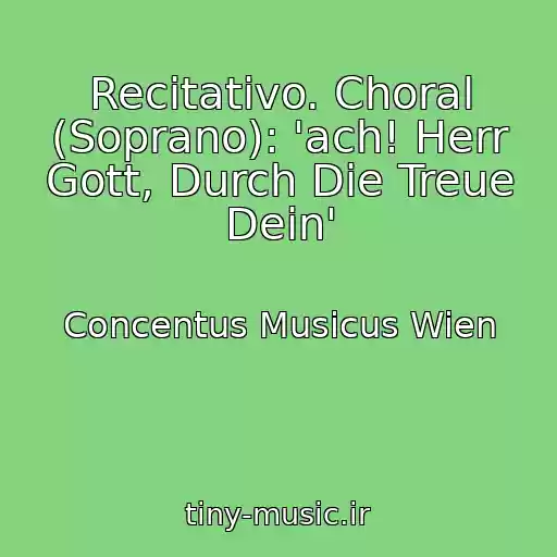 کاور آهنگ Recitativo. Choral (Soprano): 'ach! Herr Gott, Durch Die Treue Dein' از Concentus Musicus Wien