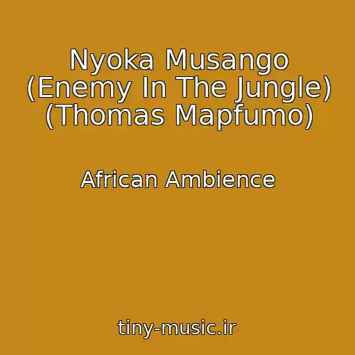 کاور آهنگ Nyoka Musango (Enemy In The Jungle) (Thomas Mapfumo) از African Ambience