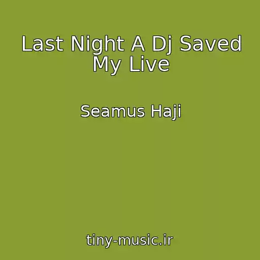 کاور آهنگ Last Night A Dj Saved My Live از Seamus Haji