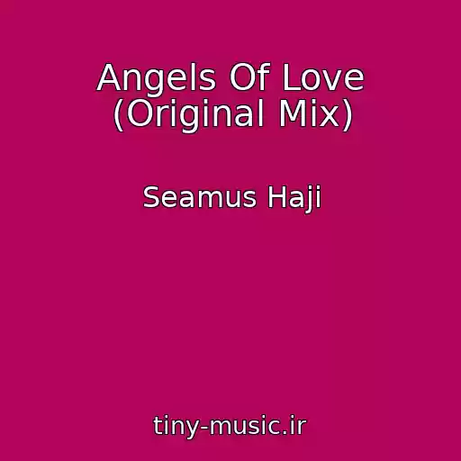 کاور آهنگ Angels Of Love (Original Mix) از Seamus Haji