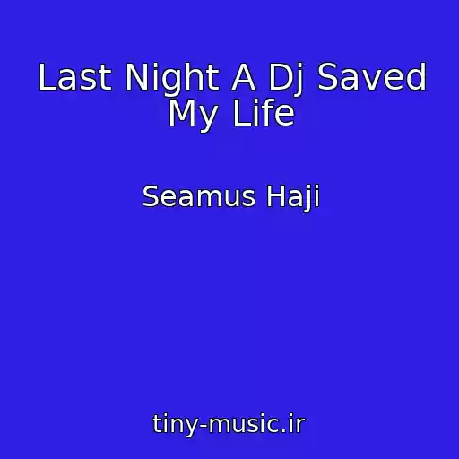 کاور آهنگ Last Night A Dj Saved My Life از Seamus Haji