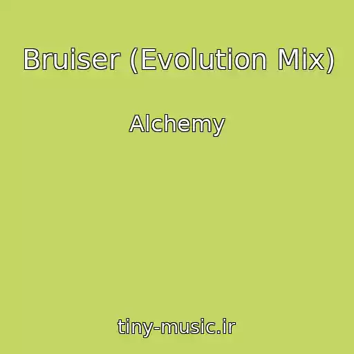 کاور آهنگ Bruiser (Evolution Mix) از Alchemy