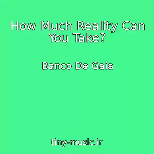 کاور آهنگ How Much Reality Can You Take? از Banco De Gaia