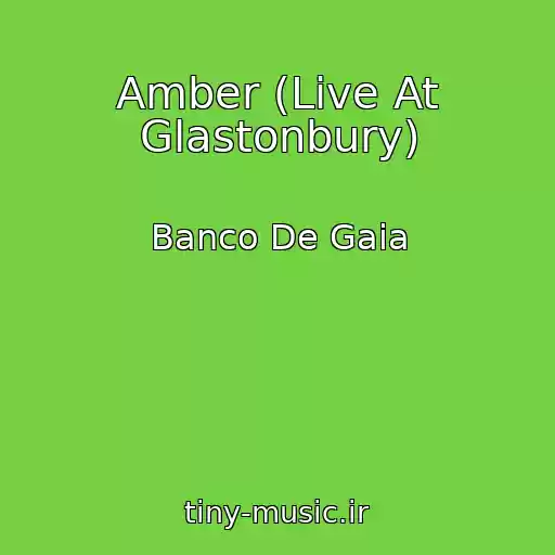 کاور آهنگ Amber (Live At Glastonbury) از Banco De Gaia