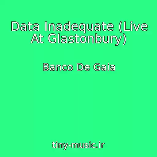 کاور آهنگ Data Inadequate (Live At Glastonbury) از Banco De Gaia
