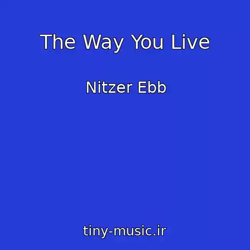 کاور آهنگ The Way You Live از Nitzer Ebb