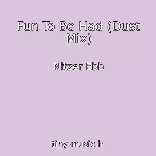 کاور آهنگ Fun To Be Had (Dust Mix) از Nitzer Ebb