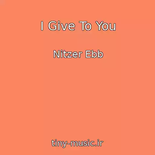 کاور آهنگ I Give To You از Nitzer Ebb