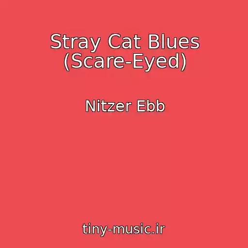 کاور آهنگ Stray Cat Blues (Scare-Eyed) از Nitzer Ebb