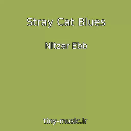 کاور آهنگ Stray Cat Blues از Nitzer Ebb