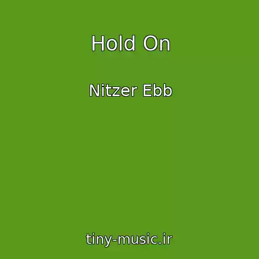 کاور آهنگ Hold On از Nitzer Ebb