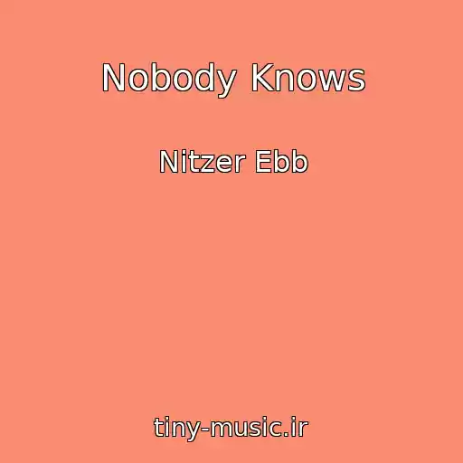 کاور آهنگ Nobody Knows از Nitzer Ebb