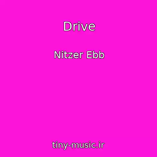 کاور آهنگ Drive از Nitzer Ebb