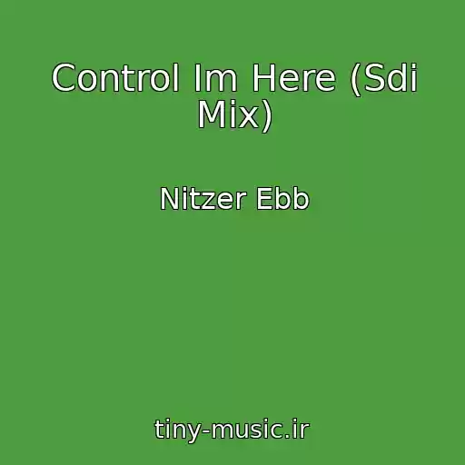 کاور آهنگ Control Im Here (Sdi Mix) از Nitzer Ebb
