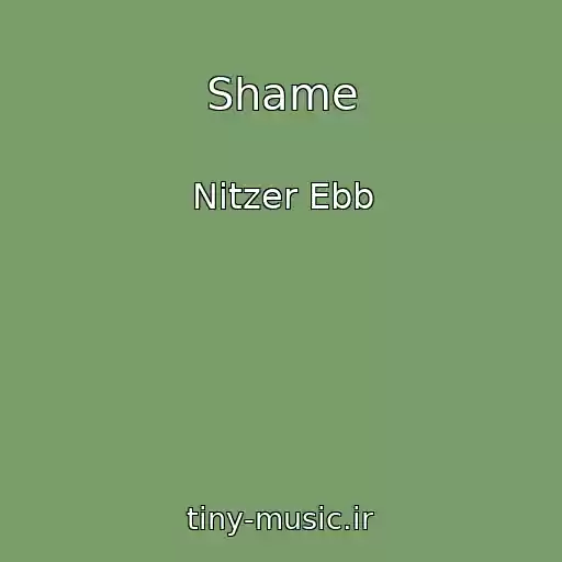 کاور آهنگ Shame از Nitzer Ebb