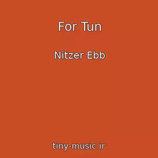 کاور آهنگ For Tun از Nitzer Ebb