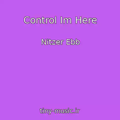 کاور آهنگ Control Im Here از Nitzer Ebb