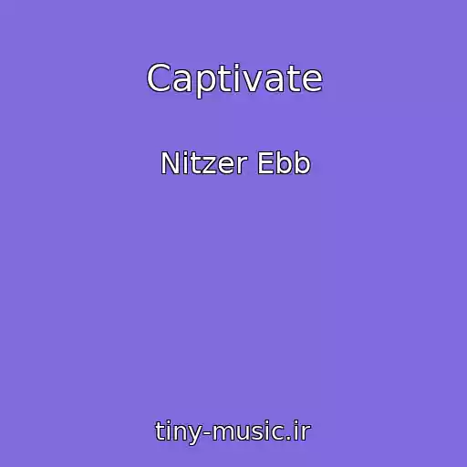 کاور آهنگ Captivate از Nitzer Ebb