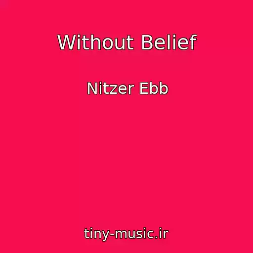 کاور آهنگ Without Belief از Nitzer Ebb