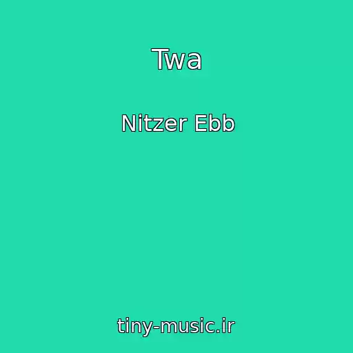کاور آهنگ Twa از Nitzer Ebb