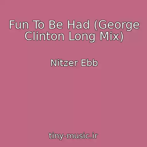 کاور آهنگ Fun To Be Had (George Clinton Long Mix) از Nitzer Ebb