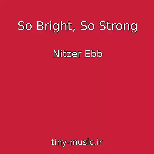 کاور آهنگ So Bright, So Strong از Nitzer Ebb