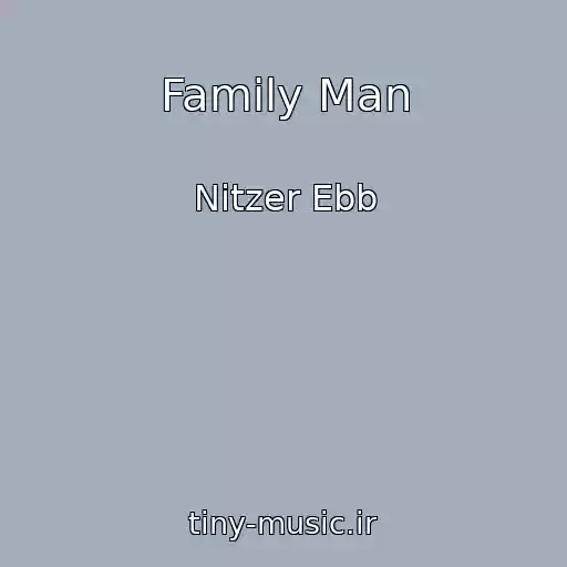 کاور آهنگ Family Man از Nitzer Ebb