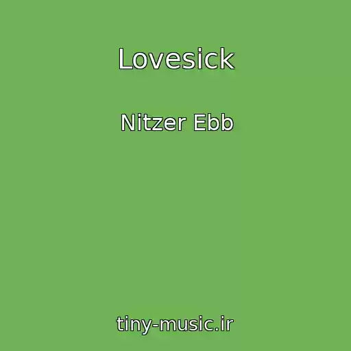 کاور آهنگ Lovesick از Nitzer Ebb