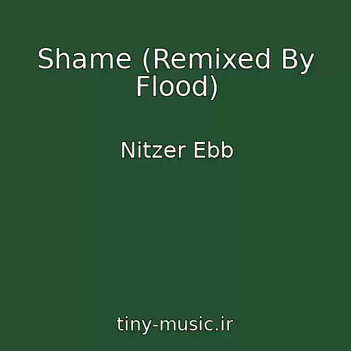 کاور آهنگ Shame (Remixed By Flood) از Nitzer Ebb
