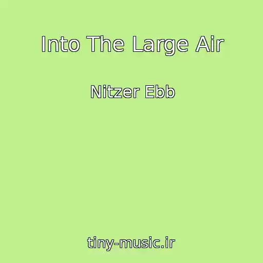 کاور آهنگ Into The Large Air از Nitzer Ebb
