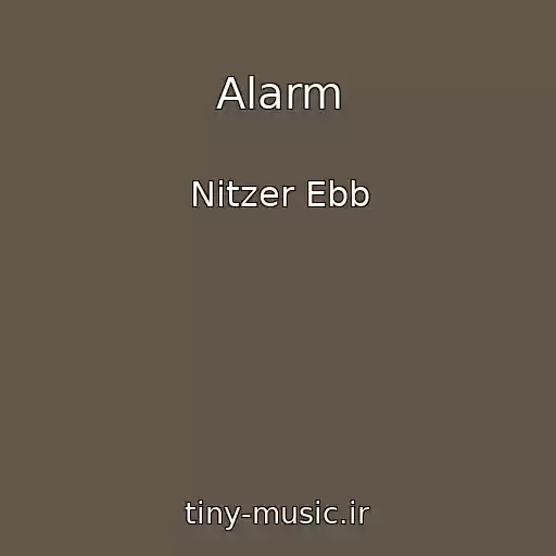 کاور آهنگ Alarm از Nitzer Ebb