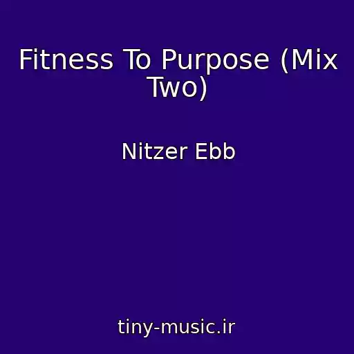 کاور آهنگ Fitness To Purpose (Mix Two) از Nitzer Ebb