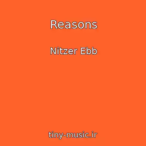 کاور آهنگ Reasons از Nitzer Ebb