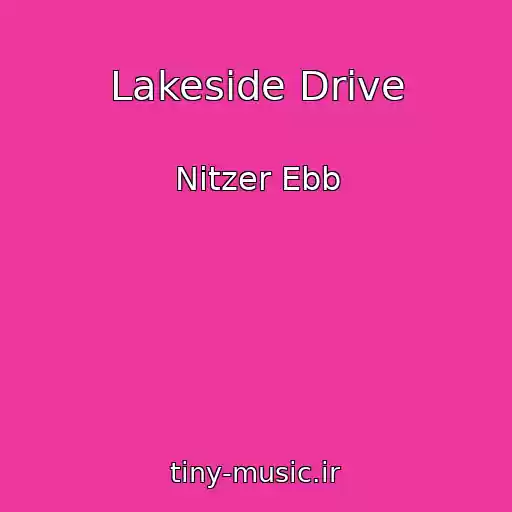 کاور آهنگ Lakeside Drive از Nitzer Ebb