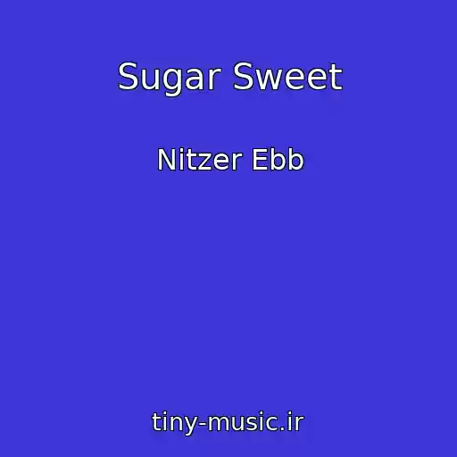 کاور آهنگ Sugar Sweet از Nitzer Ebb