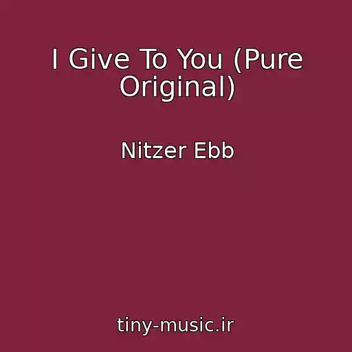 کاور آهنگ I Give To You (Pure Original) از Nitzer Ebb