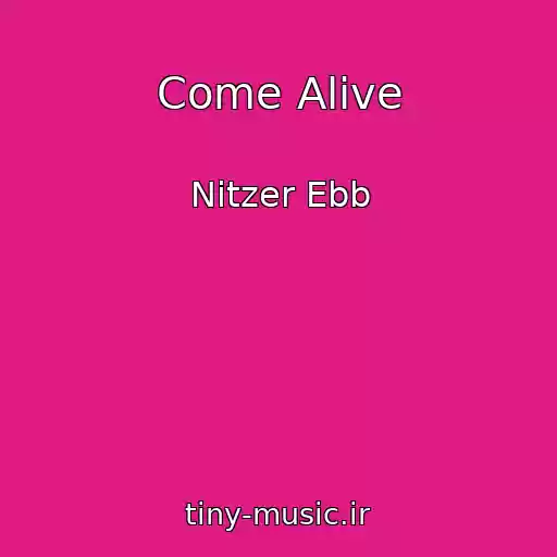 کاور آهنگ Come Alive از Nitzer Ebb