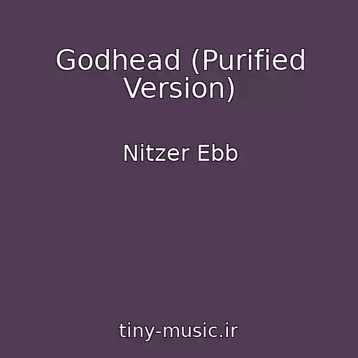 کاور آهنگ Godhead (Purified Version) از Nitzer Ebb