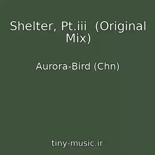 کاور آهنگ Shelter, Pt.iii  (Original Mix) از Aurora-Bird (Chn)