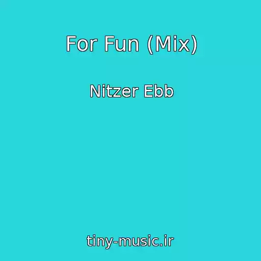 کاور آهنگ For Fun (Mix) از Nitzer Ebb