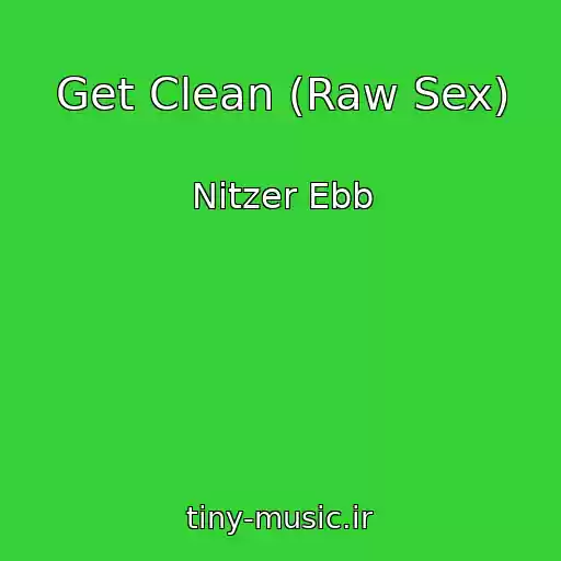 کاور آهنگ Get Clean (Raw Sex) از Nitzer Ebb