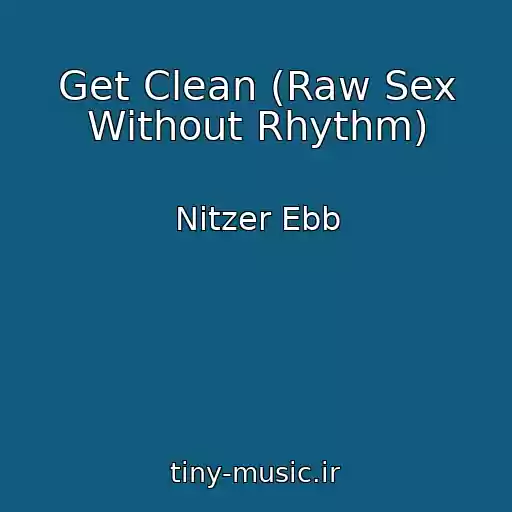 کاور آهنگ Get Clean (Raw Sex Without Rhythm) از Nitzer Ebb
