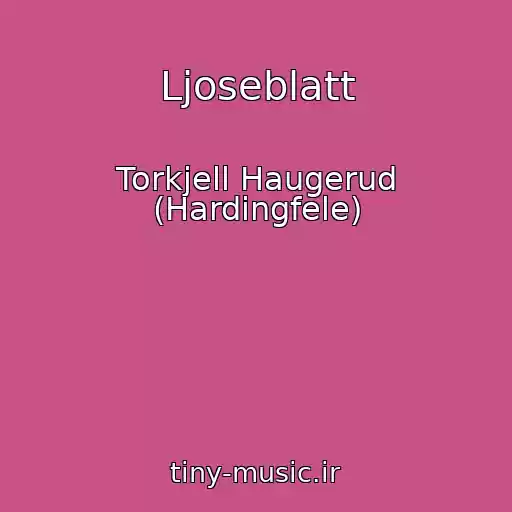 کاور آهنگ Ljoseblatt از Torkjell Haugerud (Hardingfele)