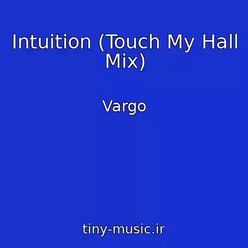کاور آهنگ Intuition (Touch My Hall Mix) از Vargo