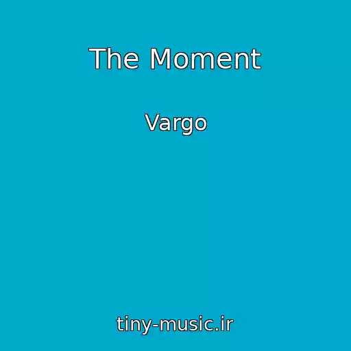 کاور آهنگ The Moment از Vargo