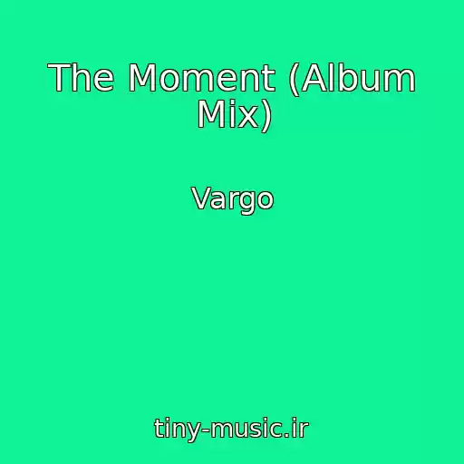 کاور آهنگ The Moment (Album Mix) از Vargo