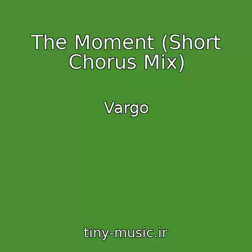 کاور آهنگ The Moment (Short Chorus Mix) از Vargo