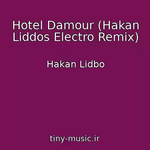 کاور آهنگ Hotel Damour (Hakan Liddos Electro Remix) از Hakan Lidbo