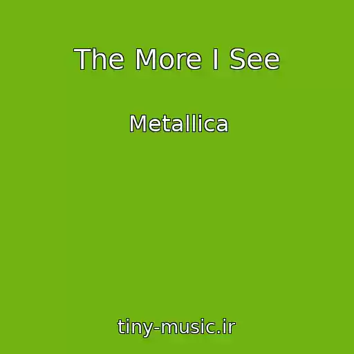 کاور آهنگ The More I See از Metallica